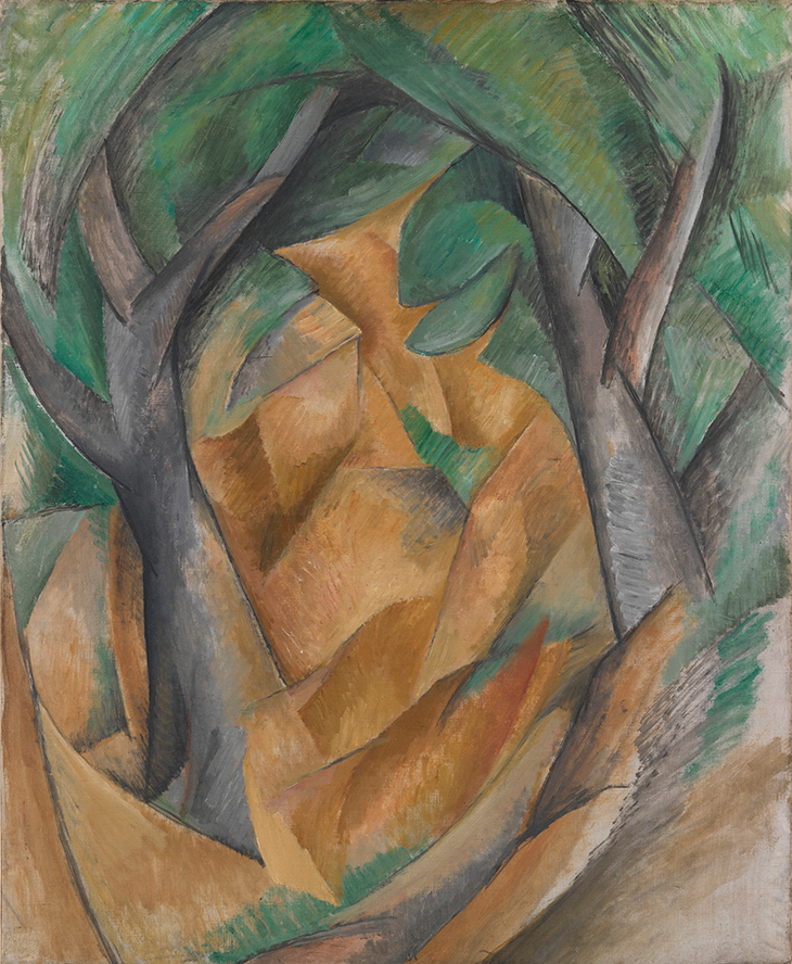 File:Georges Braque, 1911, La Tasse (The Cup), oil on canvas, 24.1 x 33 cm  (9.5 x 13 in).jpg - Wikipedia