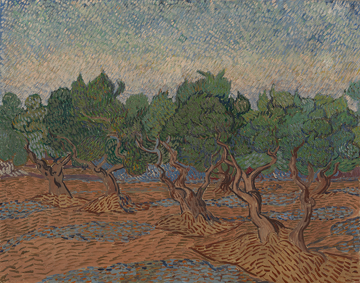 Olive Grove (1889), Vincent van Gogh.