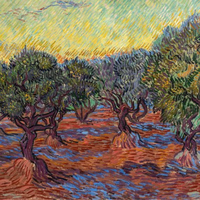 Olive Grove, Saint-Rémy (detail; 1889), Vincent van Gogh.