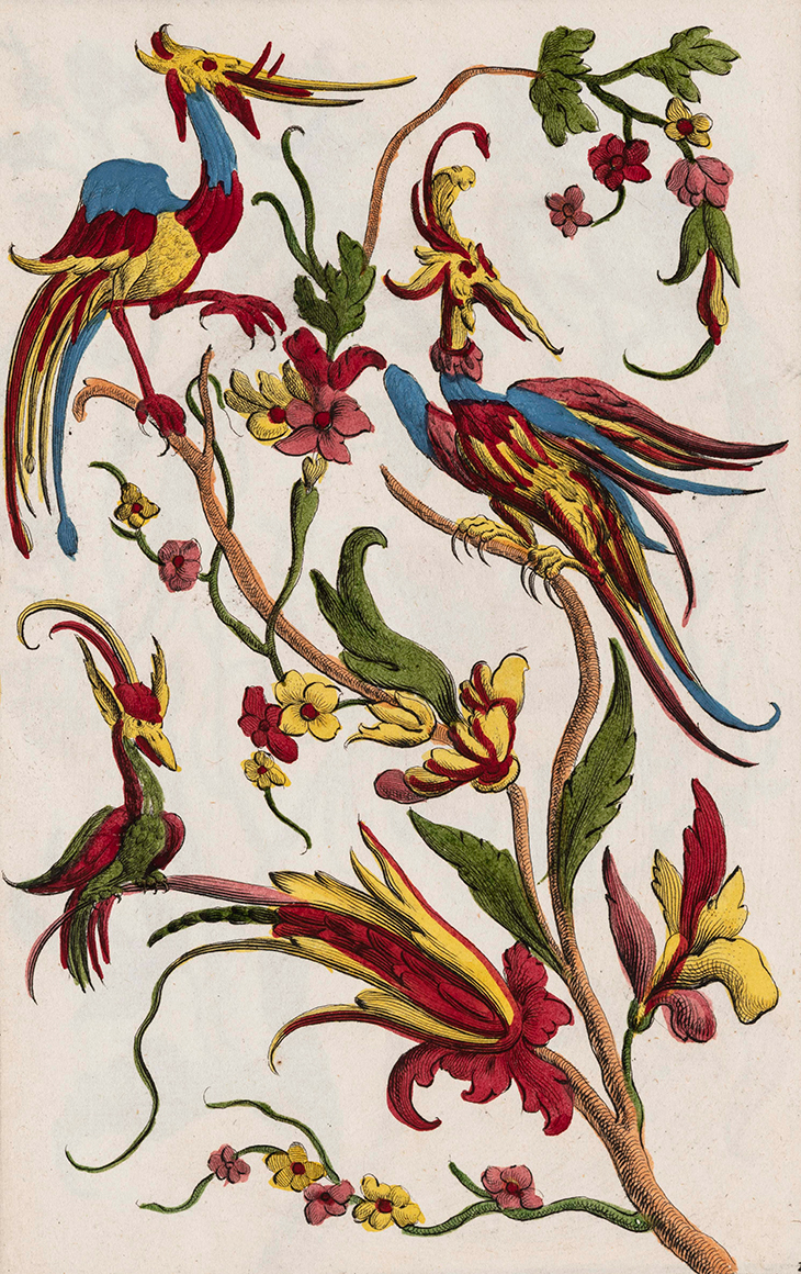 Cut-out sheets with exotic birds (c. 1710–25), Johann Christoph Weigel.