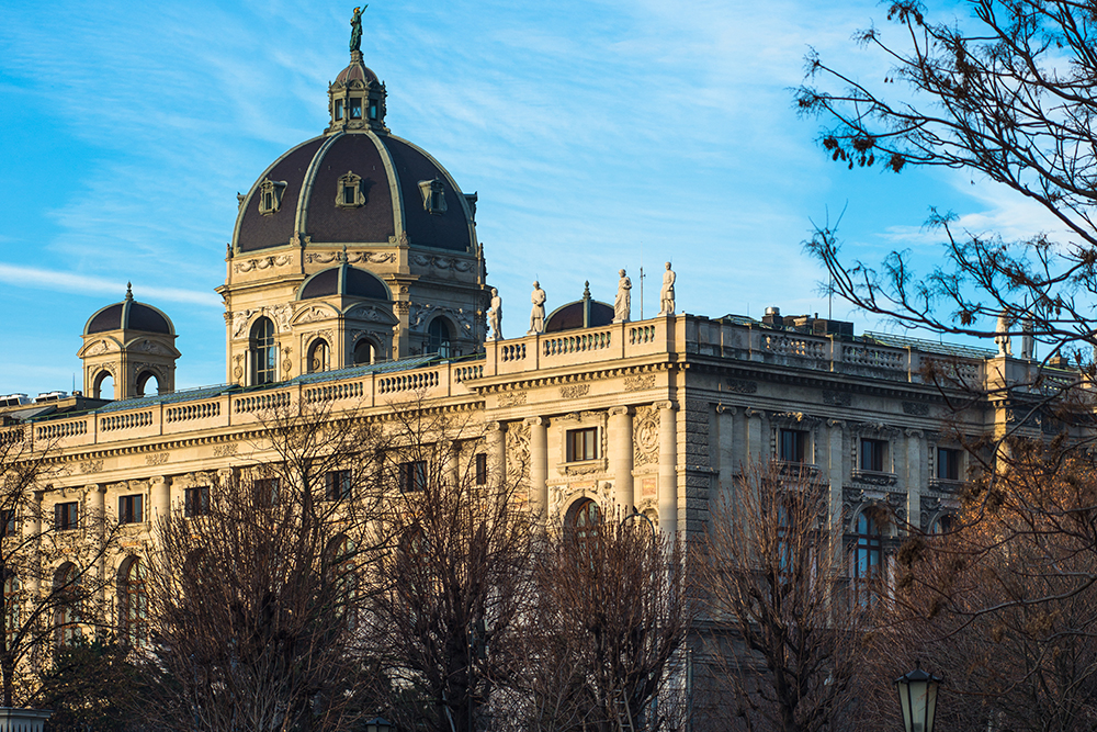 The Kunsthistorisches Museum, Vienna.
