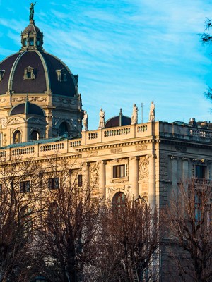 The Kunsthistorisches Museum, Vienna.