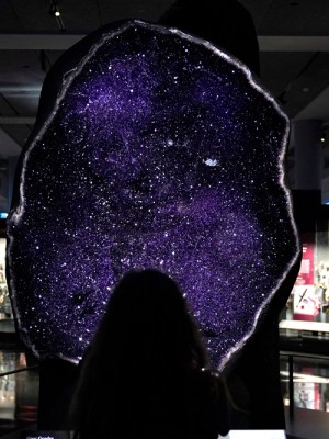 A giant amethyst geode from Uruguay, installed in the Mignone Halls of Gems and Minerals at the American Museum of Natural History, New York. Photo: Timothy A. Clary/AFP via Getty Images