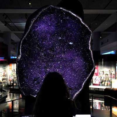 A giant amethyst geode from Uruguay, installed in the Mignone Halls of Gems and Minerals at the American Museum of Natural History, New York. Photo: Timothy A. Clary/AFP via Getty Images