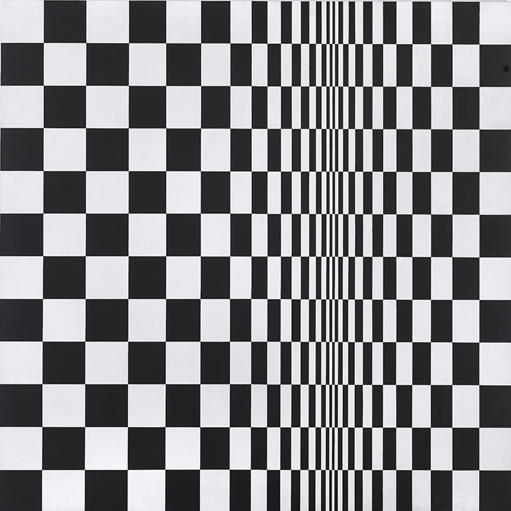 Movement in Squares (1961), Bridget Riley.