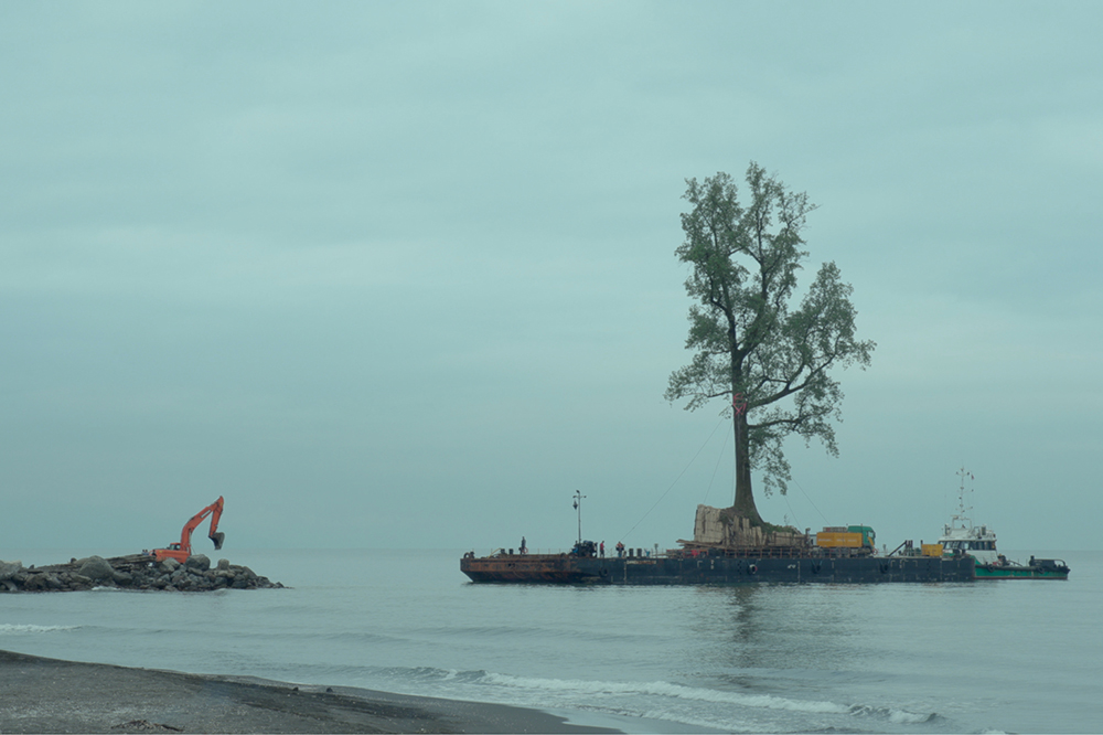 The Georgian billionaire who is digging up the nation’s most majestic trees
