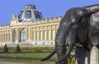 The Africa Museum in Tervuren, outside Brussels.