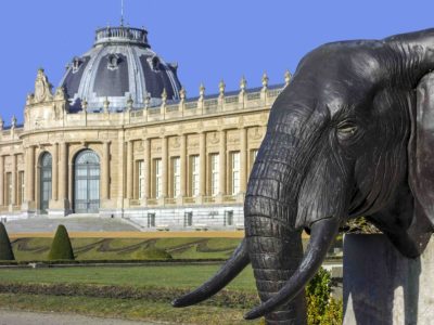 The Africa Museum in Tervuren, outside Brussels.