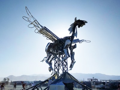 Wings of Glory