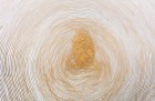 Propagazione (detail; 2013), Giuseppe Penone.