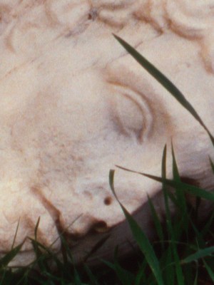 Pan Amicus (detail of video still; 2021), Tacita Dean. Courtesy Marian Goodman Gallery, New York/Paris/Frith Street Gallery, London; © 2021 Tacita Dean
