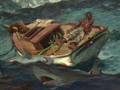The Gulf Stream (detail; 1899), Winslow Homer.