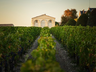 Château Mouton Rothschild
