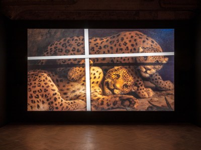Amie Siegel Bloodlines video installation view