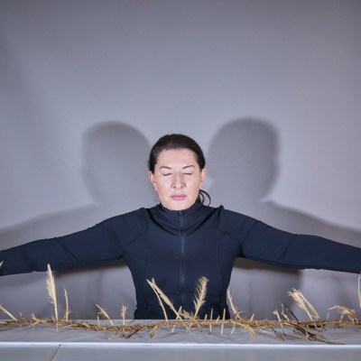 Presence and Absence Marina Abramovic