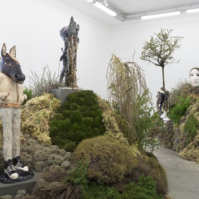 Installation view of 'Klara Kristalova: Camouflage'