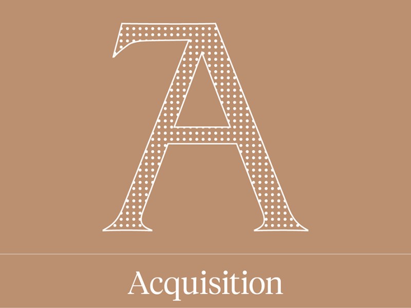 Acquisition of the year shortlist