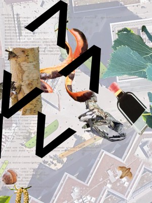 Ursula Endlicher's Input Field Reversal #2 (2022)