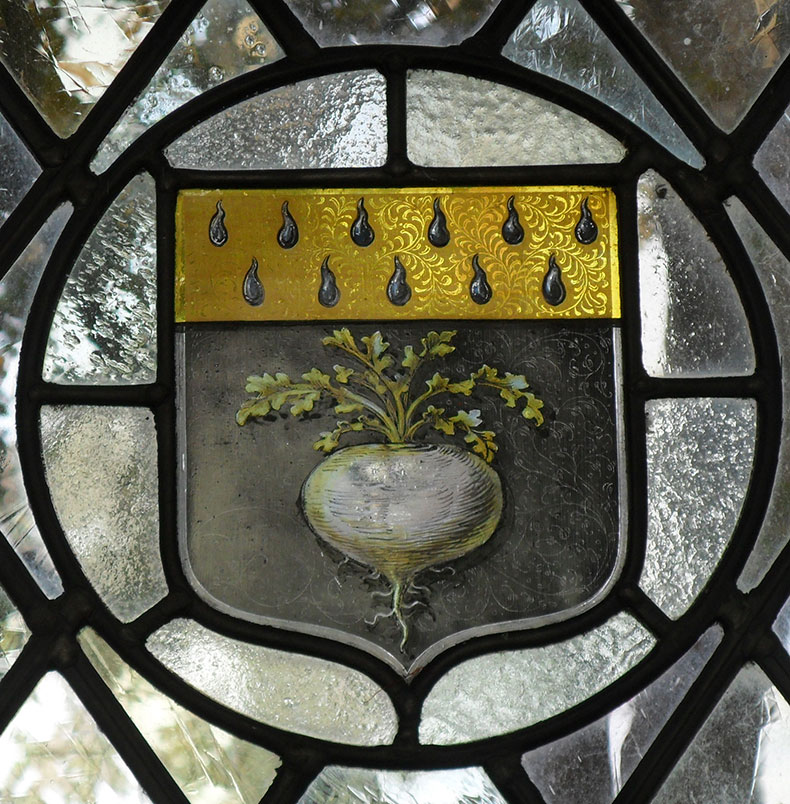 turnip stainglass window