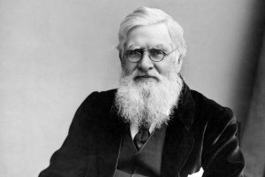 Alfred Russel Wallace’s botanical sketches are a natural wonder