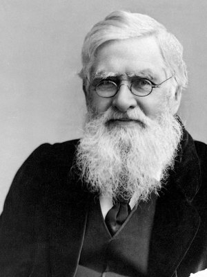 Alfred Wallace Russel