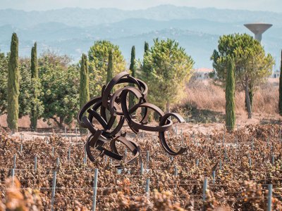 sculpture in a vineyard
