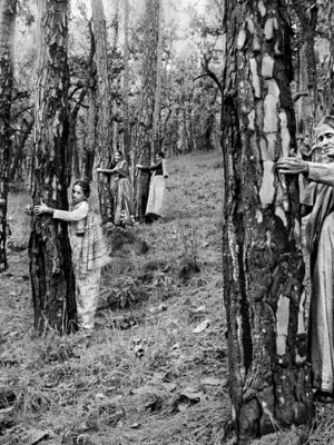 Chipko Tree Huggers of the Himalayas #4 (1994), Pamela Singh. Courtesy sepiaEYE; © Pamela Singh