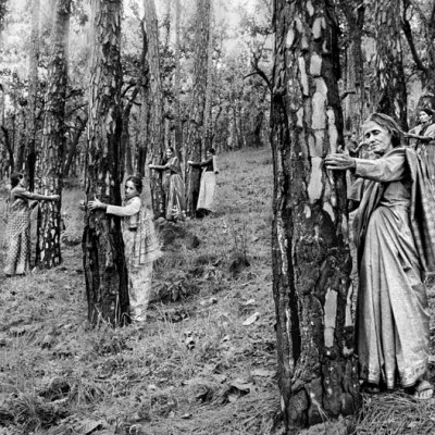Chipko Tree Huggers of the Himalayas #4 (1994), Pamela Singh. Courtesy sepiaEYE; © Pamela Singh