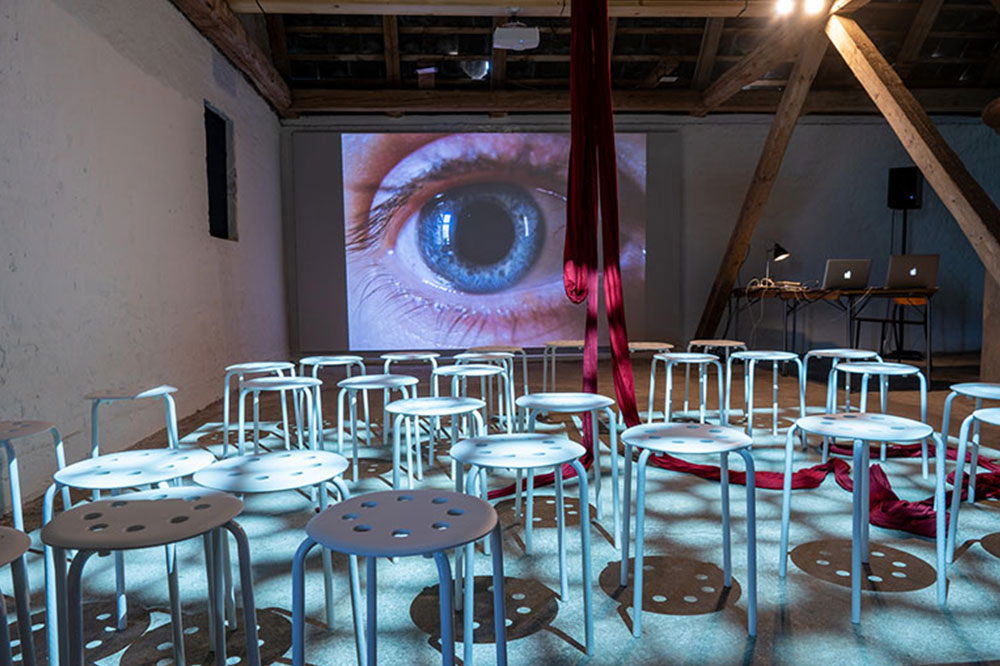 Nocturnal animals – a new Nordic festival journeys into the night