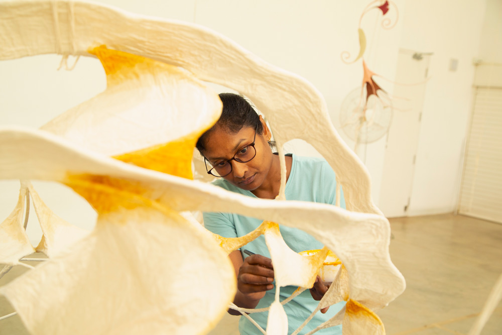 In the studio with… Ranjani Shettar