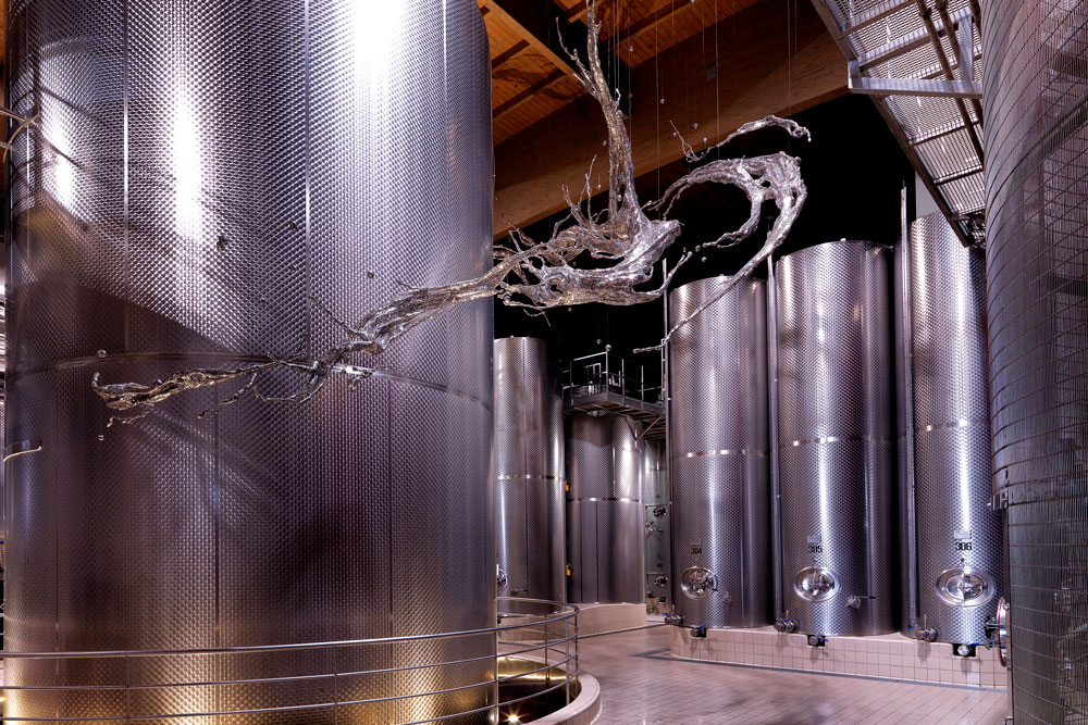 Grapes of froth – making the thinking man’s ‘champagne’