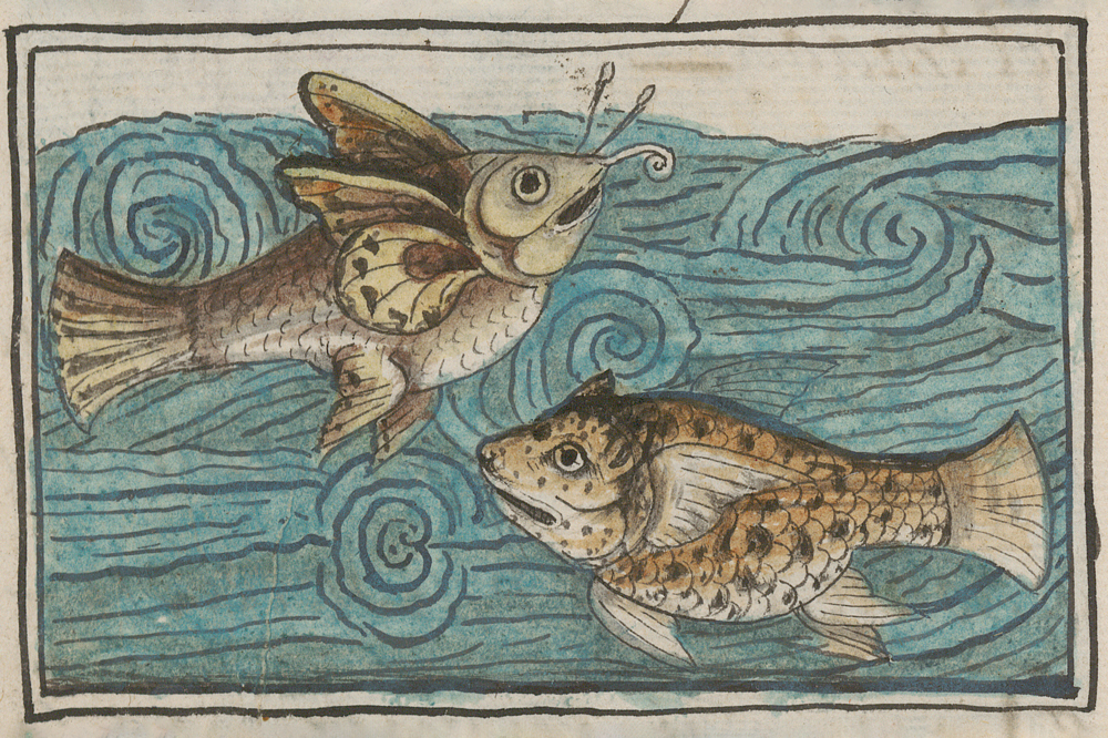 The Mexican manuscript that reveals the wonders of the Aztec world