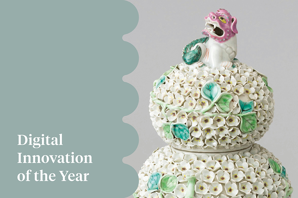 Digital Innovation of the Year