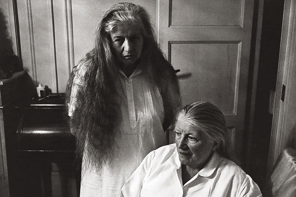 The weird sisters immortalised in an even weirder novel