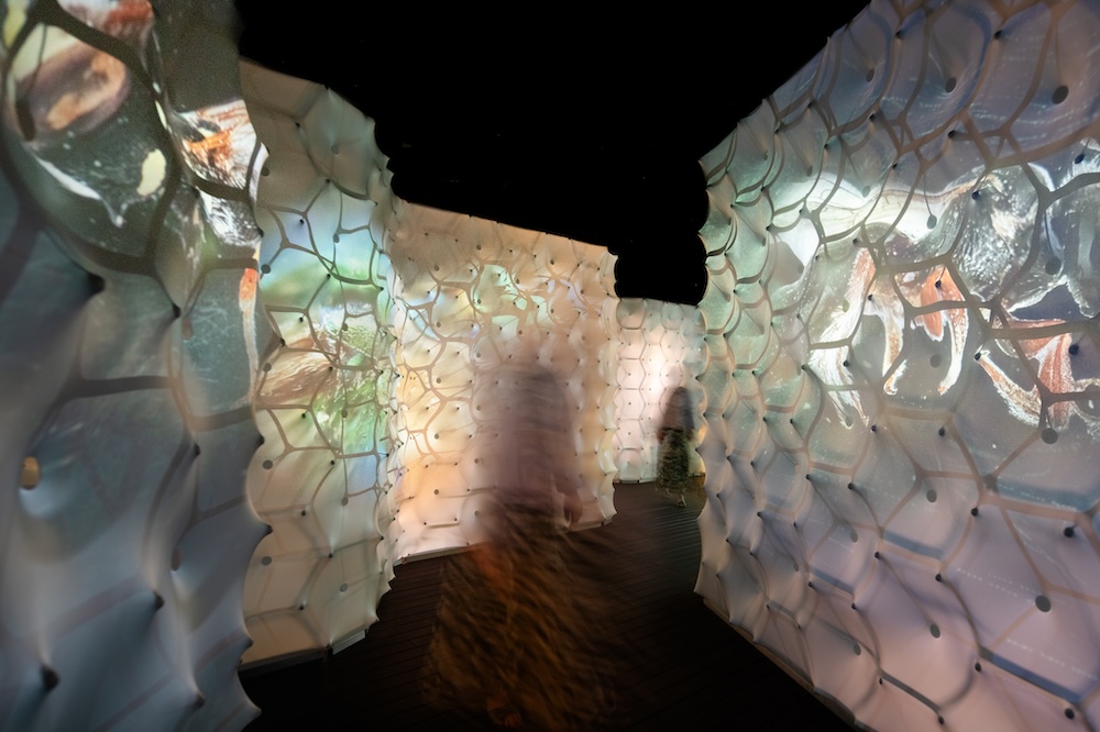 Wolfgang Buttress creates a buzz in Liverpool