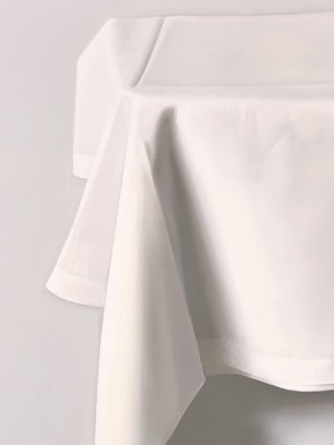 painting of tablecloth by Alison Watt