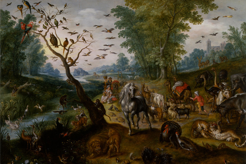 The curious career of Jan van Kessel