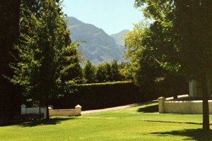 French winemaking with a South African twist