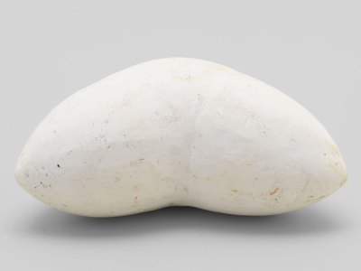 a white plaster sculpture by Louise Bourgeois that resembles a pair of breasts
