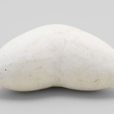 a white plaster sculpture by Louise Bourgeois that resembles a pair of breasts