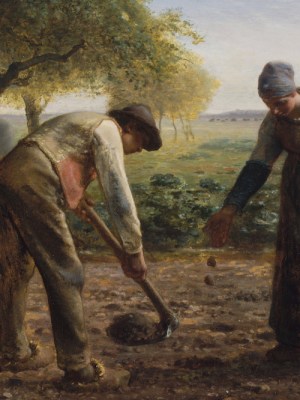 Why have artists found potatoes so appealing?