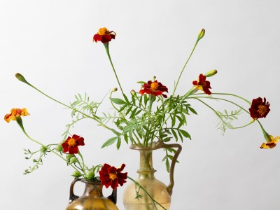 The appeal of Roman glass has never been clearer