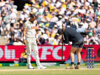 Art rises from the Ashes