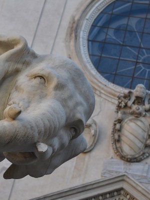 Tsk-tusk: a tale of two elephants