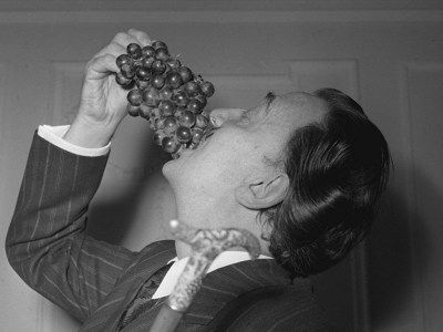 Salvador Dalí’s grape expectations