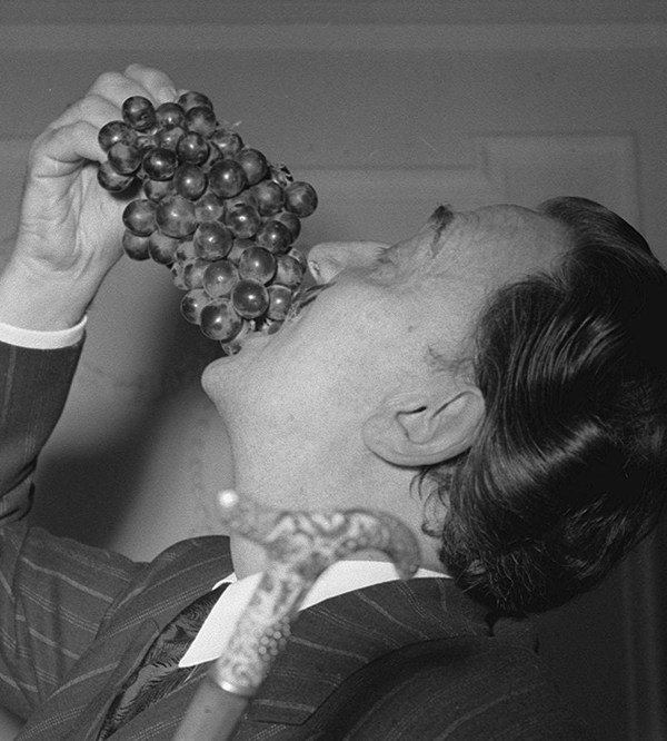 Salvador Dalí’s grape expectations