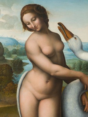 Ovid's transformational effect on art