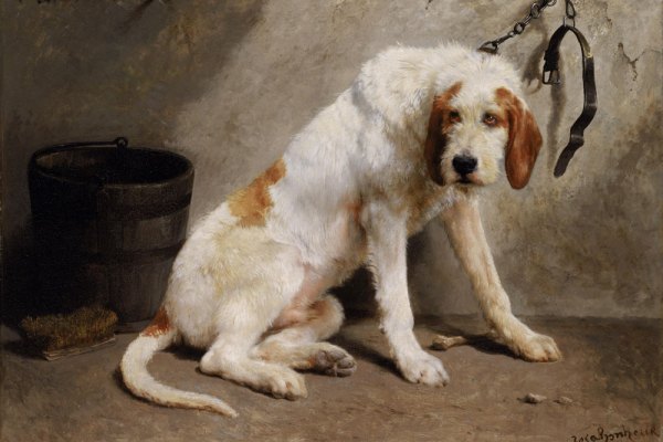 Man paints dog: a history of canine art