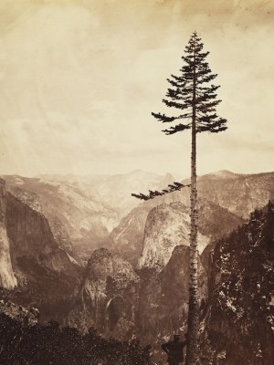 Early American photography comes into sharper focus