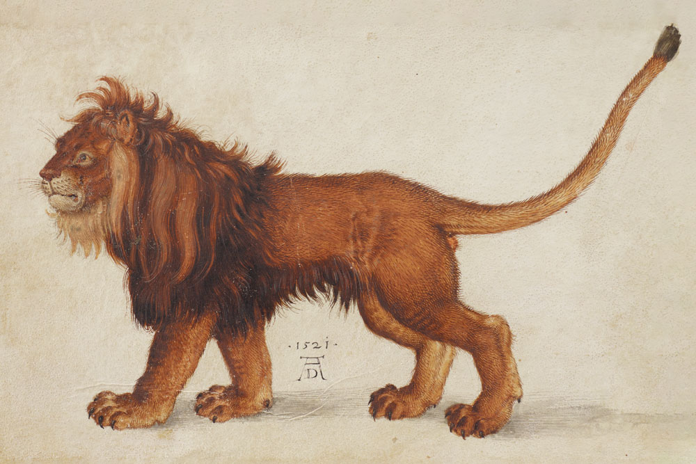 Vienna’s Albertina roars into the future